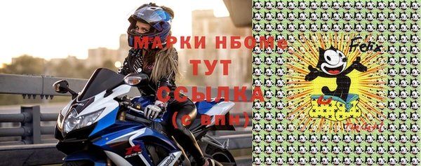 хмурый Алзамай
