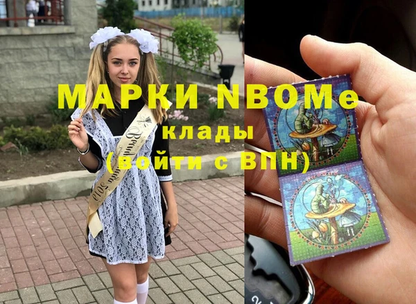 хмурый Алзамай
