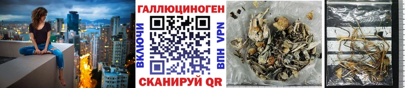 Галлюциногенные грибы Magic Shrooms  Катав-Ивановск 